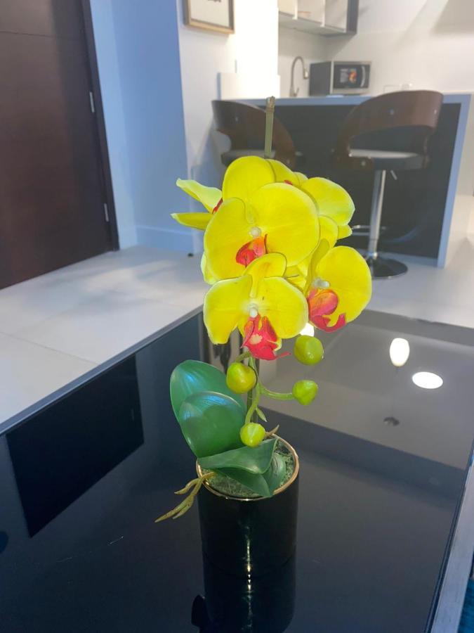 Parkhurst 1 Apartment Кингстън Екстериор снимка